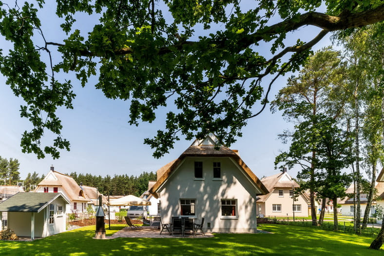 Ferienhaus Rügensonne mit alten Baumbestand