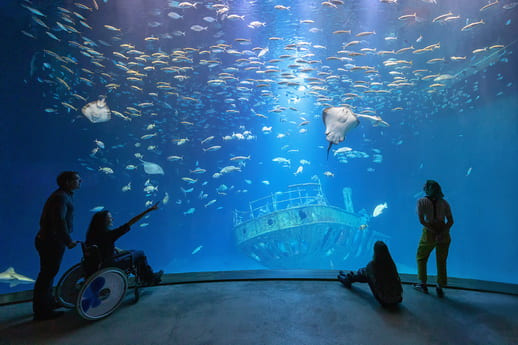 OZEANEUM Stralsund Erlebnis