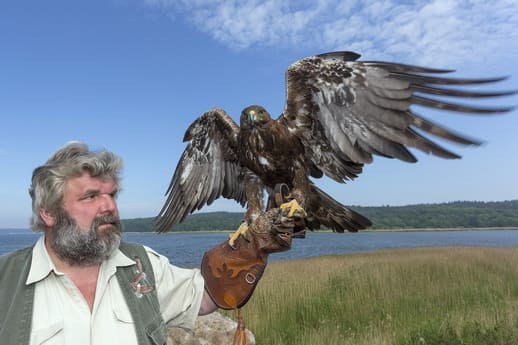 Störtebeker Festspiele Naturbühne Ralswiek Adlershow